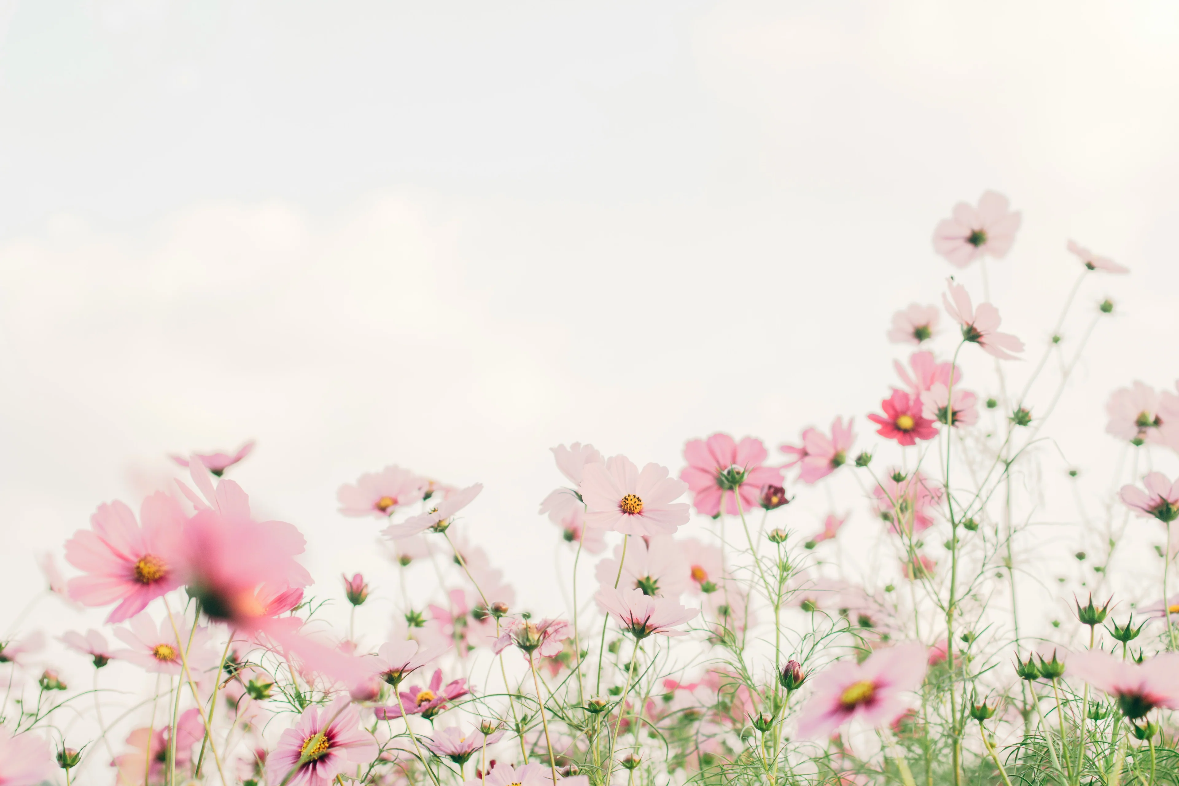Sweeten Your Signature Scent